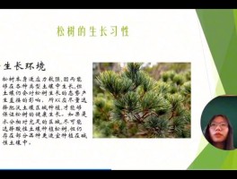 裸子植物的主要特征(被子植物的主要特征)