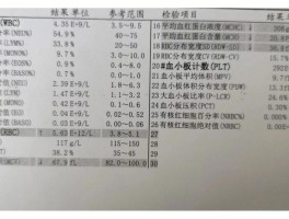 地中海贫血能生小孩吗