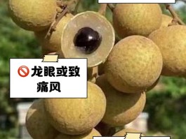 龙眼吃多了上火吗