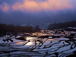 红河哈尼梯田(红河哈尼梯田是世界文化遗产吗)