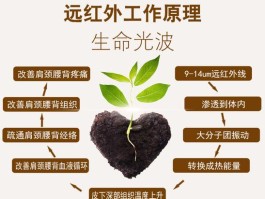 能量医学是如何治病的(什么叫能量医学)