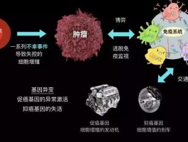 基因突变肿瘤能根治吗(基因检测的费用大概多少钱)