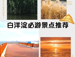 白洋淀简介有哪些景点(白洋淀的景点,简单介绍一下)