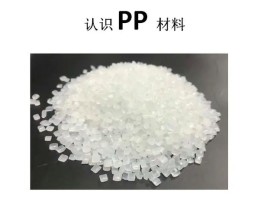 Pp是什么塑料(pp是什么塑料材质)