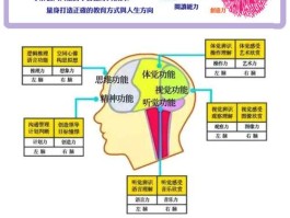 皮纹测试有科学依据吗(皮纹测试一般多少钱)