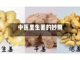 高良姜与干姜的区别(高良姜与干姜的区别是什么)