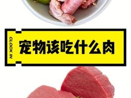 红肉和白肉的区别是什么(鱼的红肉和白肉的区别是什么)