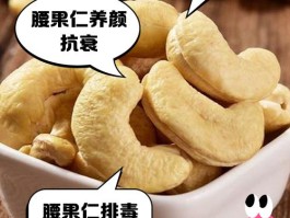 腰果仁的功效和作用(腰果仁的功效和作用补肾吗)