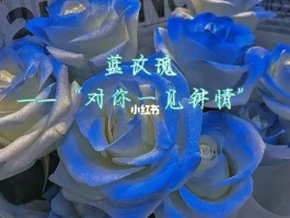 蓝色玫瑰的花语是什么意思(红色玫瑰的花语是什么意思)