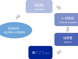 5htp五羟基色氨酸功效和作用(5羟色胺是兴奋的还是镇静的)