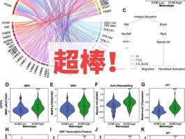 细胞外基质是什么意思(细胞外基质是什么意思图片)