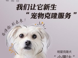 什么叫克隆狗(什么叫克隆狗狗基因啥意思?)