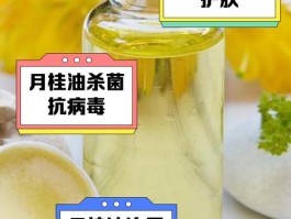 月桂油的功效与作用