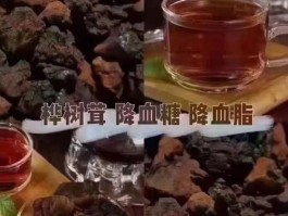 冰人奥茨所携带的桦孔菌可能是什么作用(冰人奥茨说话)