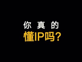 ip卡是什么意思呢(ip卡是什么卡)