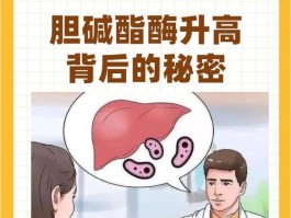 胆碱酯酶高是怎么回事