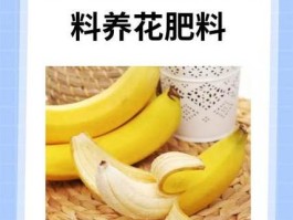 香蕉皮泡水怎么做肥料养花肥料