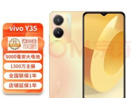 vivoy35掉水里了怎么办(vivoy3掉水里立马拿出来有事吗)