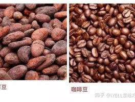 可可豆和咖啡豆是一种东西吗(咖啡对男性性功能有好处吗)