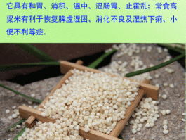 甜高粱的功效与作用(甜高粱的功效与作用及营养价值)