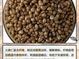 火麻仁的功效作用与主治(火麻仁的功效作用与主治五味子)