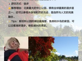 温哥华旅游景点排名(温哥华旅游景点排名榜)