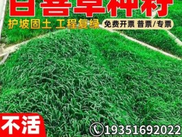 百喜草种子种植方法(百喜草种子种植方法图解)