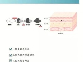 黑色素是怎么形成的原因(黑色素是怎么形成的原因图片)