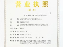 山东华阳科技股份有限公司借款公告(山东华阳科技股份有限公司借款公告最新)