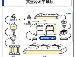 冷冻干燥和真空干燥的区别