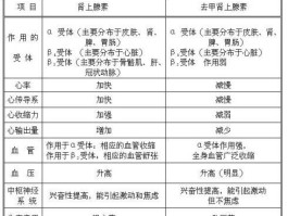 肾上腺素受体分为几类(肾上腺素受体分为几类和代表药)