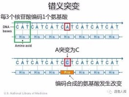 基因突变是什么意思(肺癌基因突变是什么意思)