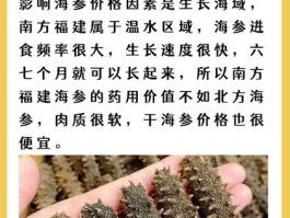 好的干海参多少钱一斤多少个头