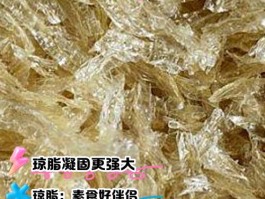 食用琼脂是什么(食用琼脂是什么样子)