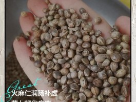 火麻仁的作用与功效