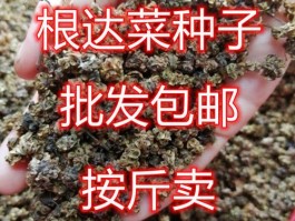 莙荙菜(莙荙菜的功效与作用禁忌)