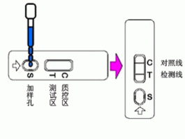 莱克多巴胺检测方法