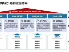 网络服务商怎么咨询(怎么联系运营客服)