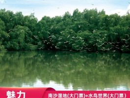 番禺南沙湿地公园(番禺南沙湿地公园有什么好玩的)