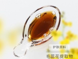 毛蕊花提取物对皮肤的作用(毛蕊花提取物对皮肤的作用是什么)