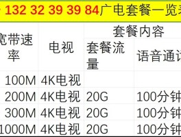 300m宽带够几个人用(500m宽带够几个人用)