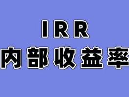 酒店内部收益率(酒店内部收益率怎么算)