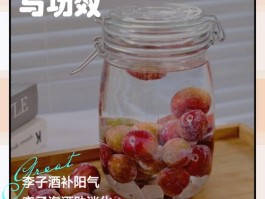 李子泡酒的作用与功效