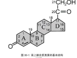 皮质类固醇和糖皮质激素一样吗(皮质类固醇和糖皮质激素一样吗对吗)