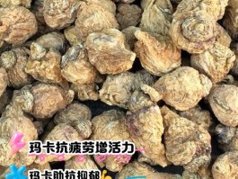 白玛卡的功效与作用(白玛卡的功效与作用吃法大全)