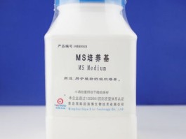 ms培养基(ms培养基是什么)