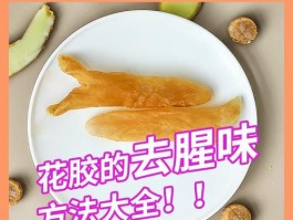 身体腥味重是什么原因