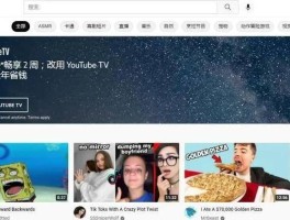 youtube有些视频看不了