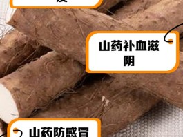 山药功效作用与主治(中药山药功效作用与主治)