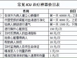 icu是什么意思一天多少钱(icu意味着什么)